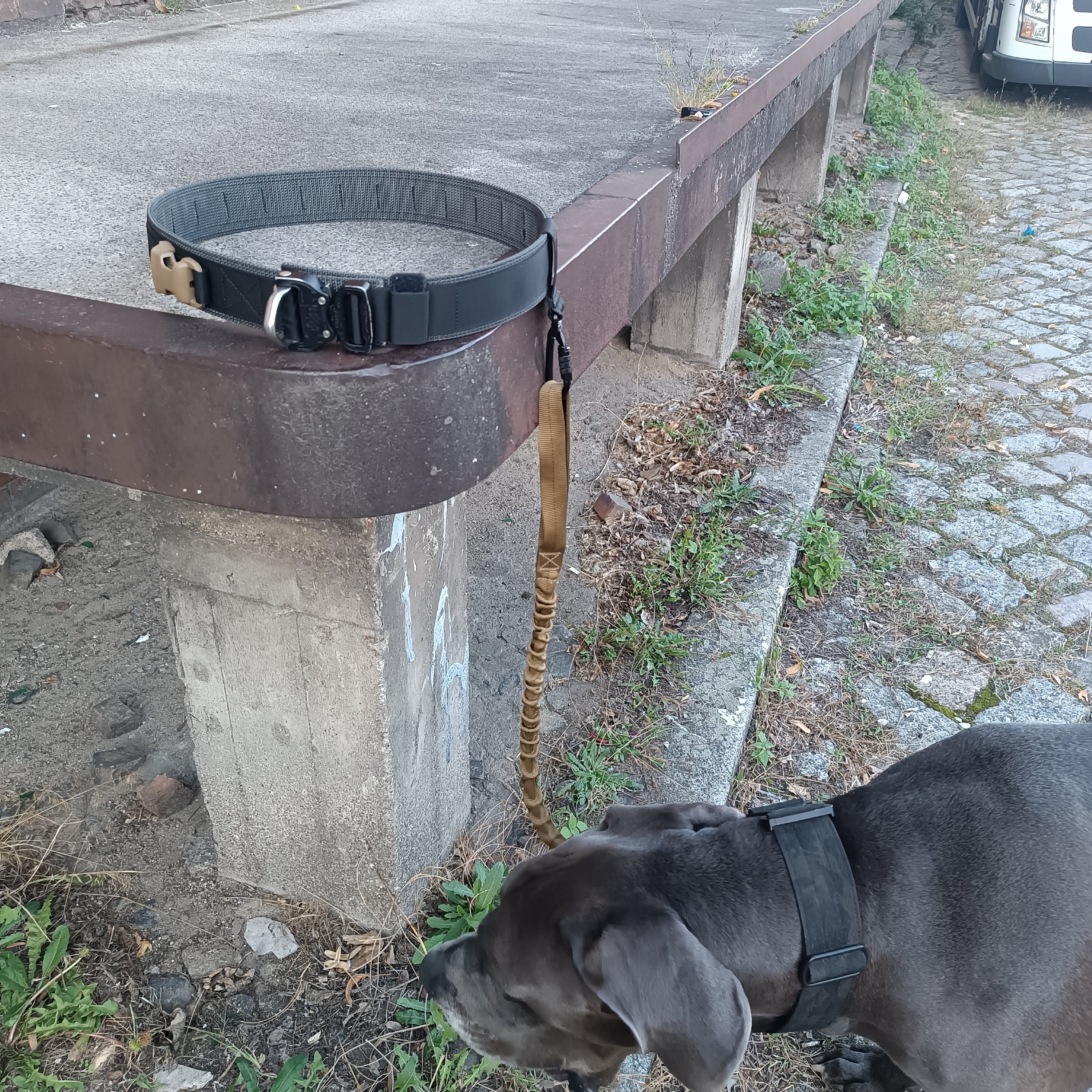 TYRAS Trail Belt