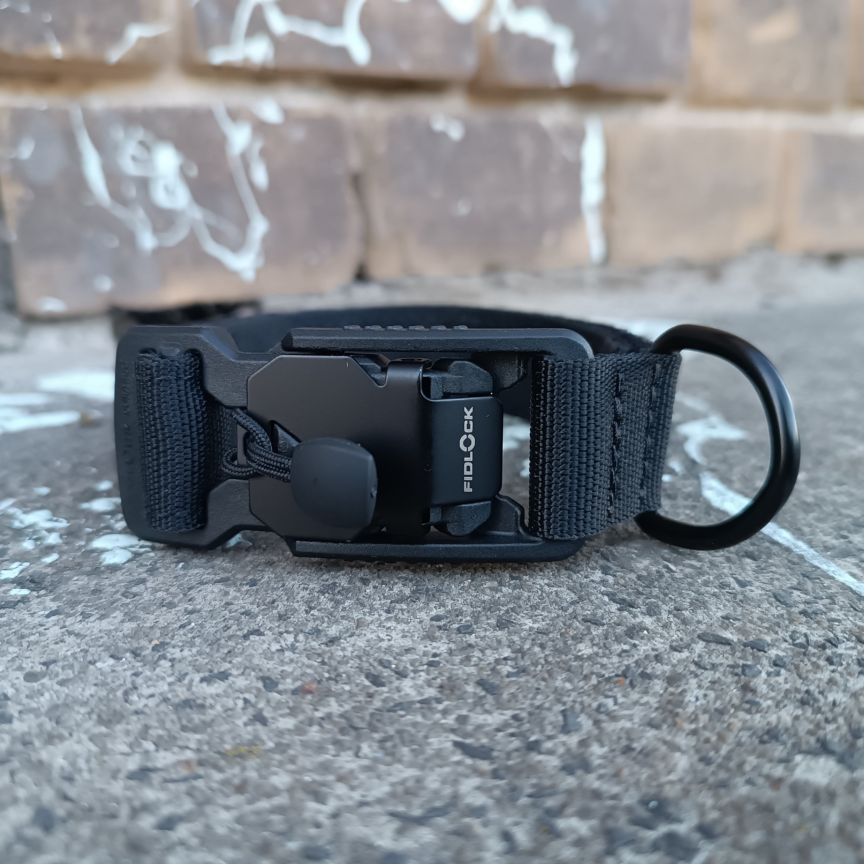 Puppy Collar